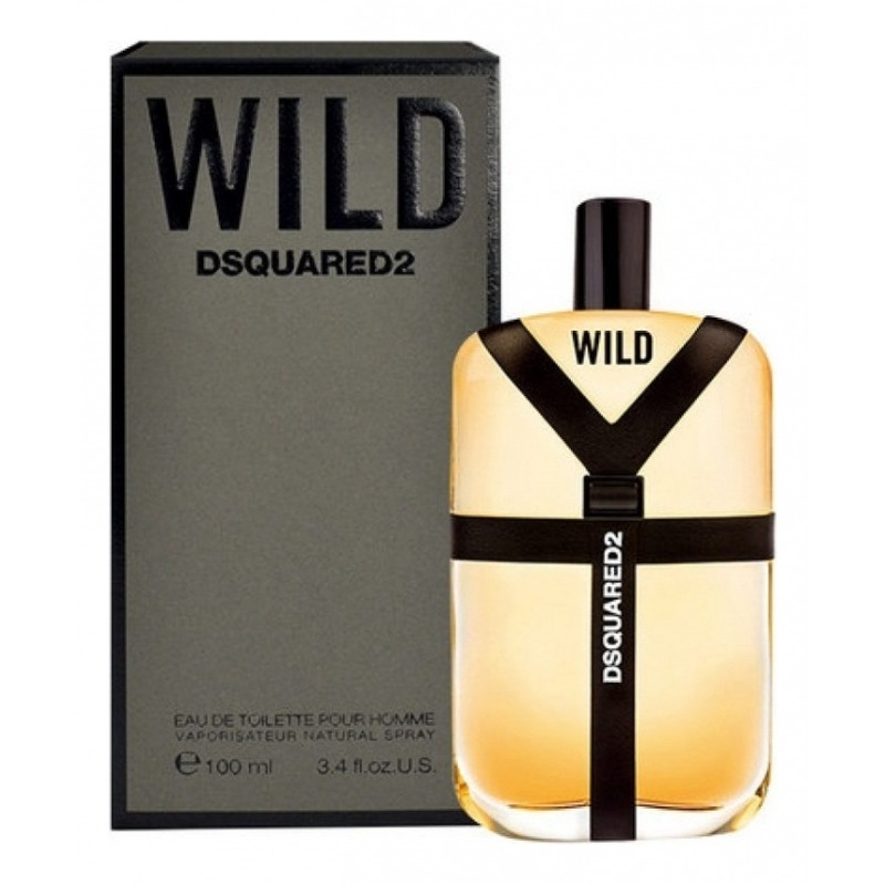 dsquared2 wild