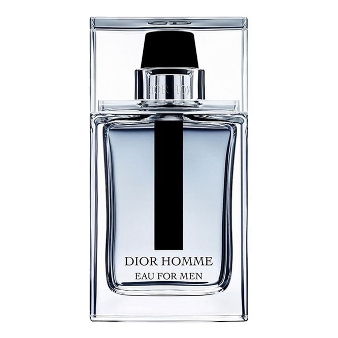 dior homme in