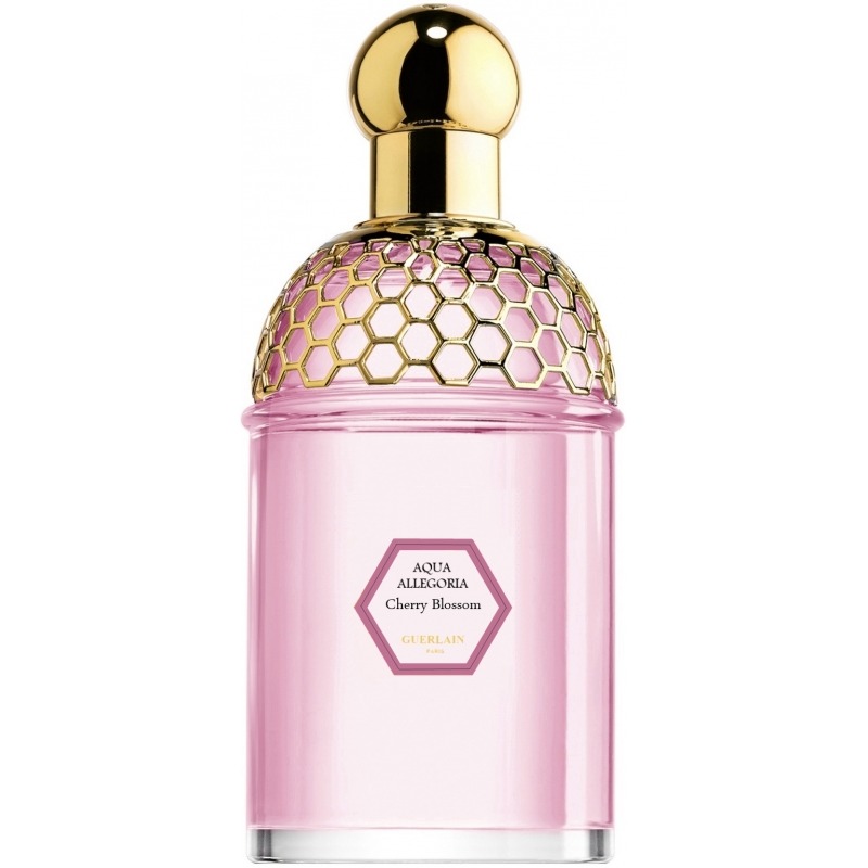 Aqua allegoria cherry blossom on sale