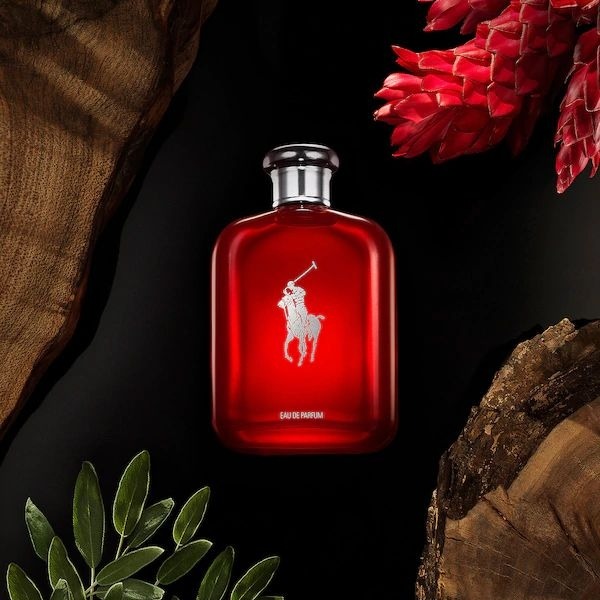 Polo red ralph deals lauren eau de toilette