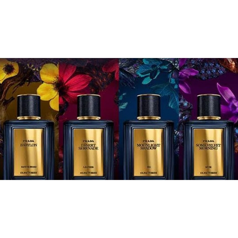 Some velvet morning prada sales