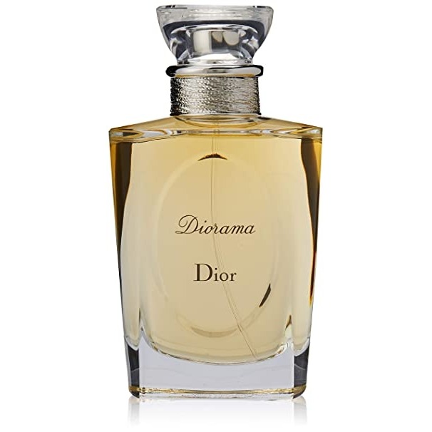 Christian dior diorama best sale