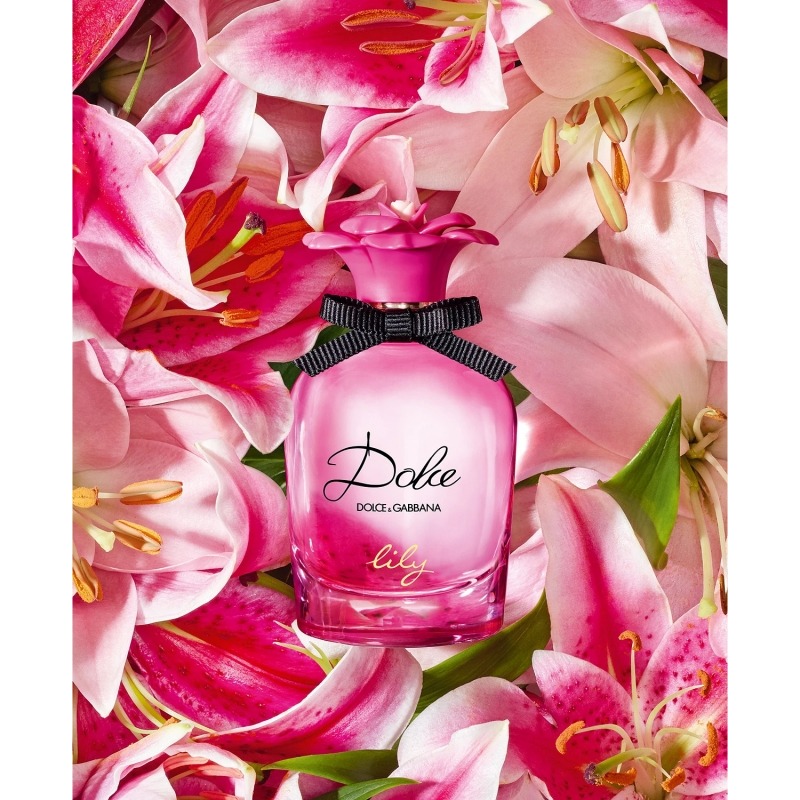 Dolce and shop gabbana lily bag