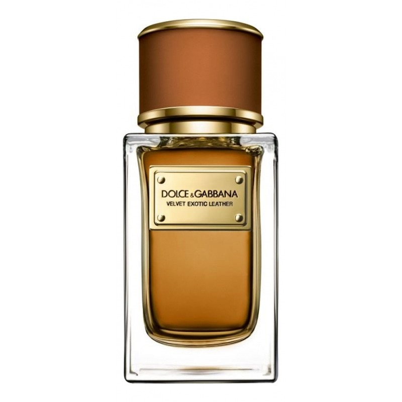 dolce gabbana velvet