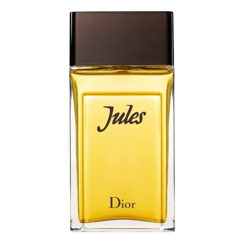 Christian dior jules 100ml clearance