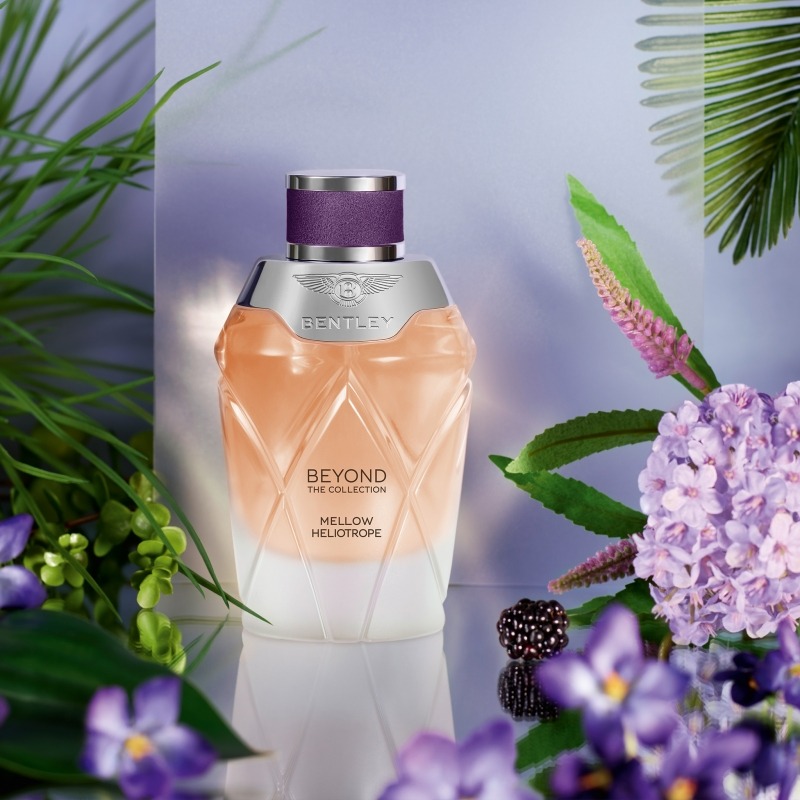 BENTLEY RADIANT OSMANTHUS ������