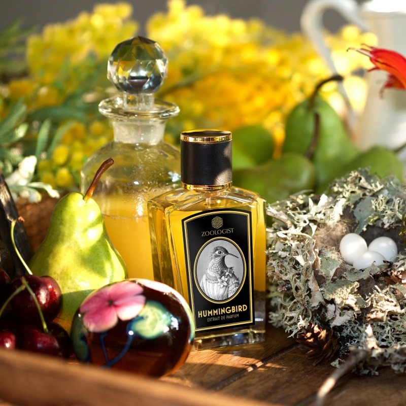Zoologist Perfumes Hummingbird - купить духи, цены от 30540 р. за
