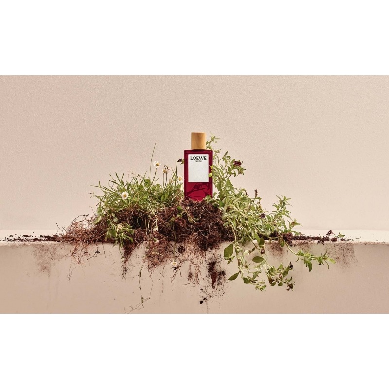 Loewe Earth - купить духи, цены от 620 р. за 2 мл