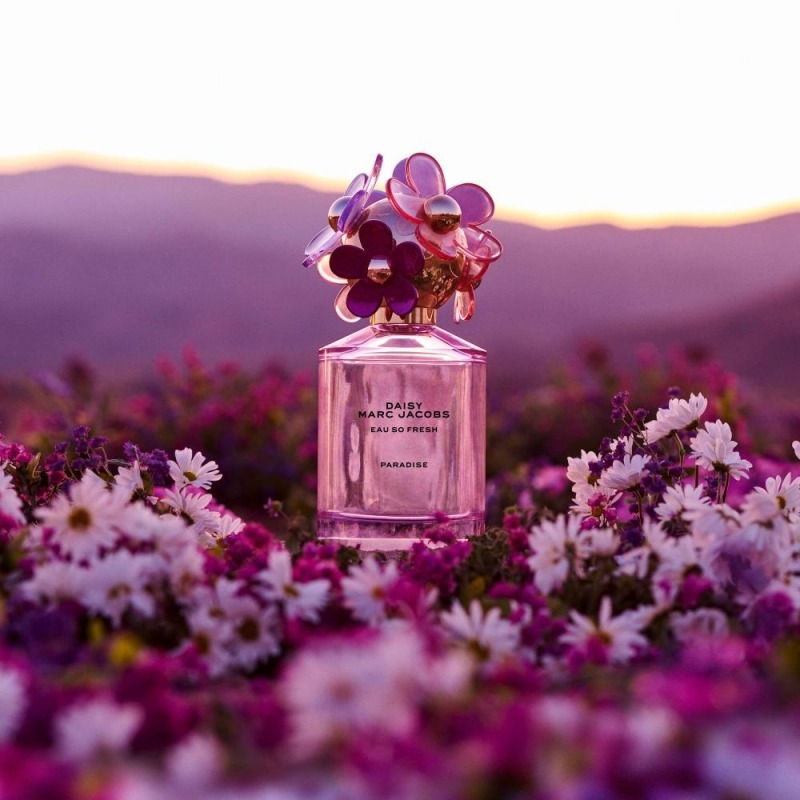 Daisy eau de fresh on sale