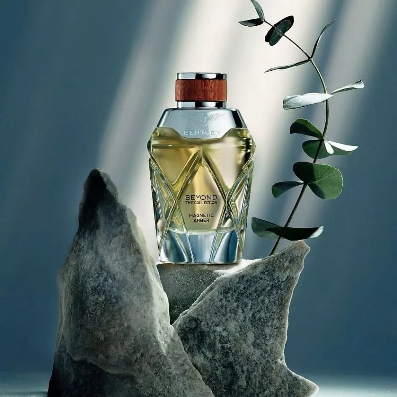BENTLEY RADIANT OSMANTHUS ������
