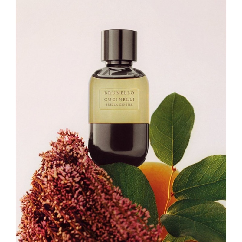 Brunello Cucinelli Brezza Gentile - купить духи, цены от 550 р. за