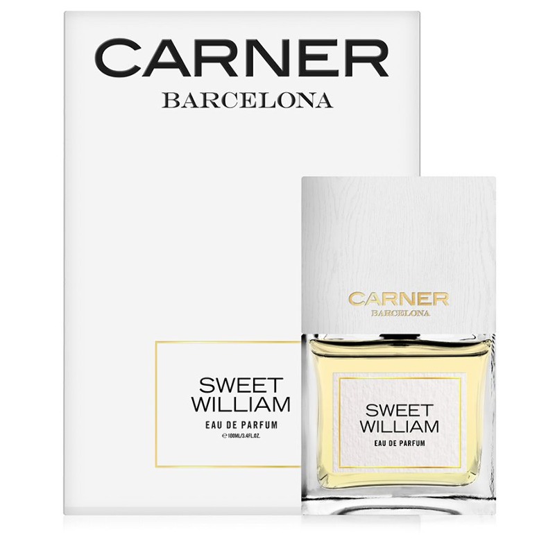 Carner Barcelona Sweet William