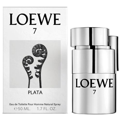 loewe 100