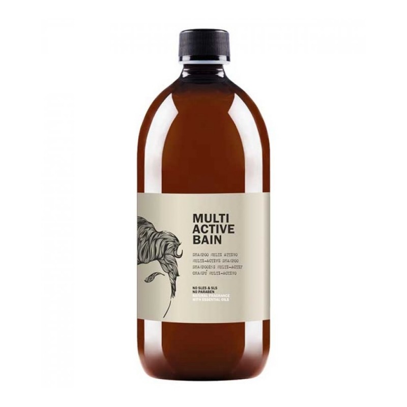 Шампунь для волос Dear Beard Multi active bain