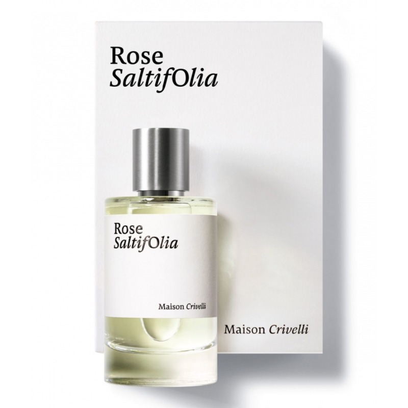 Rose Saltifolia