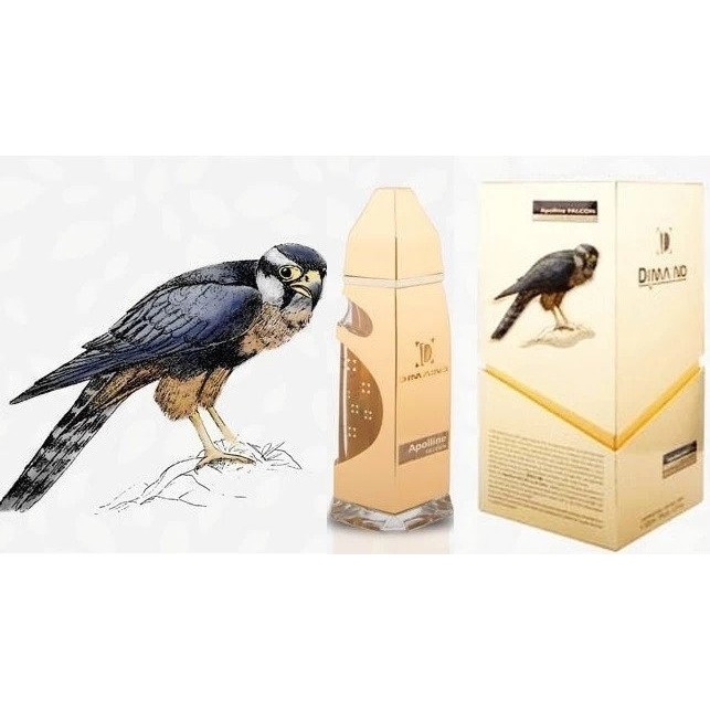 

Apolline Falcon