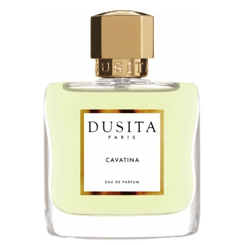 

Cavatina