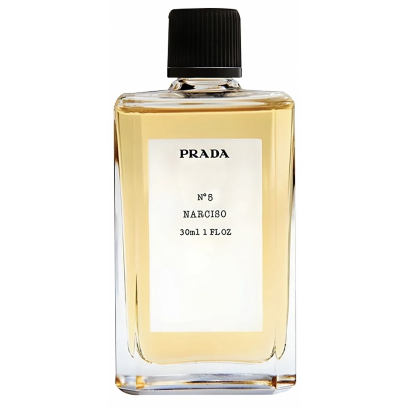 No5 Narciso