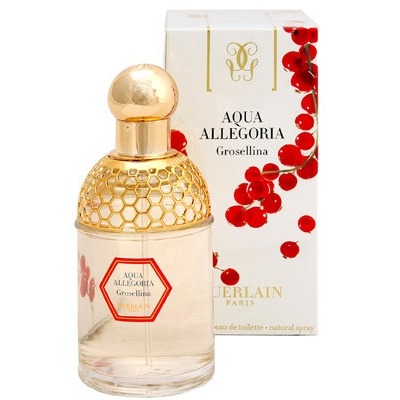 

Aqua Allegoria Grosellina
