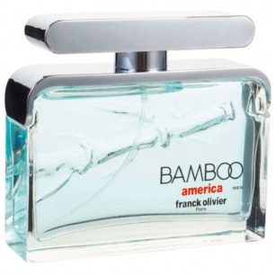 

Bamboo America