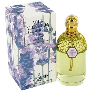 Aqua Allegoria Lavande Velours velours gourmand