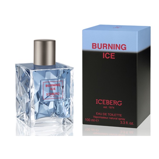 

Burning Ice