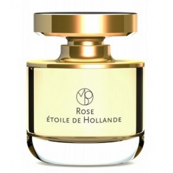 Mona di Orio Rose Etoile de Hollande