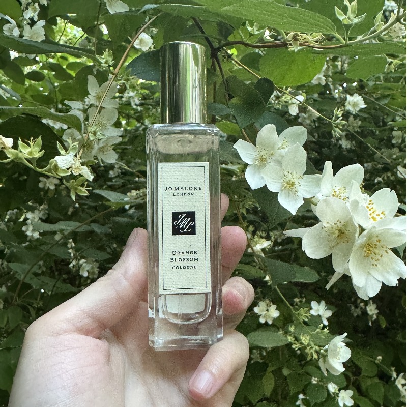 Jo Malone Orange Blossom - купить духи, цены от 1820 р. за 5 мл
