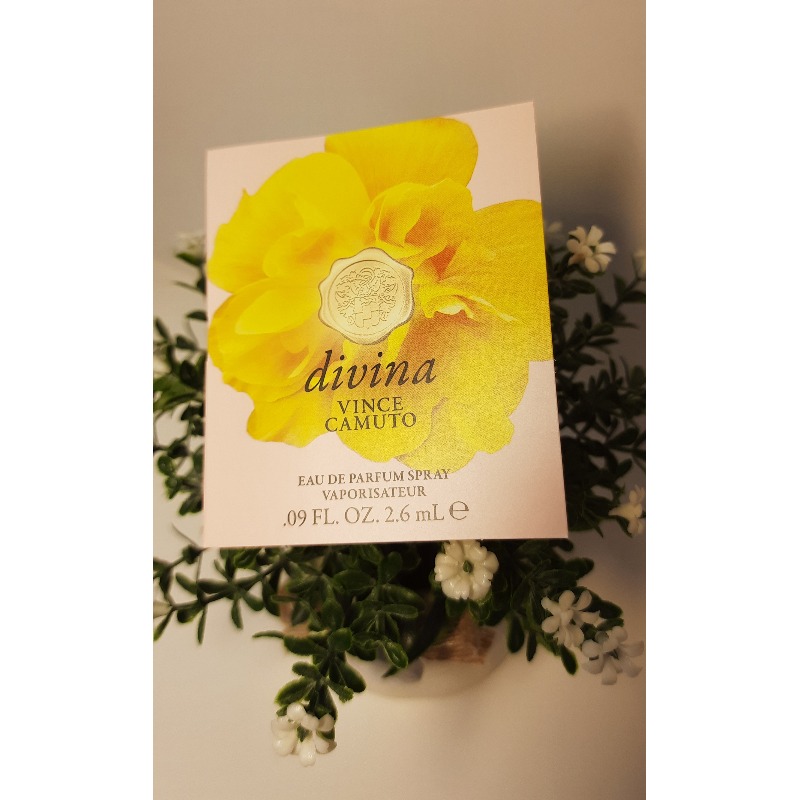 divina vince camuto