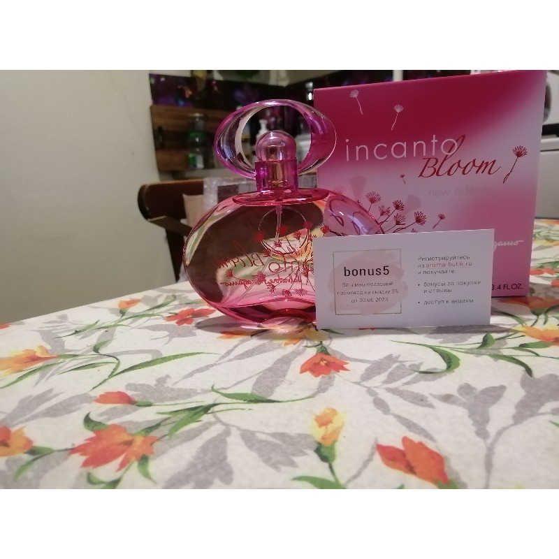 Incanto bloom store price