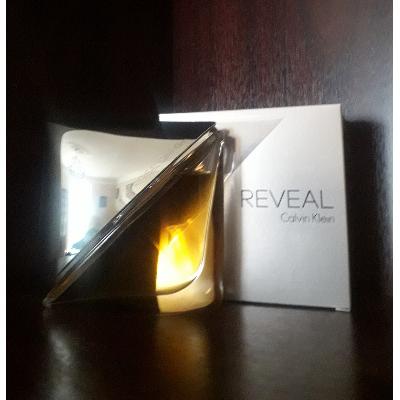 CALVIN KLEIN Reveal 480 2