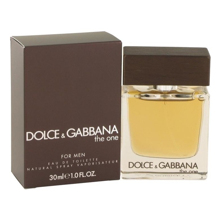 dolce & gabbana the one for men eau de toilette
