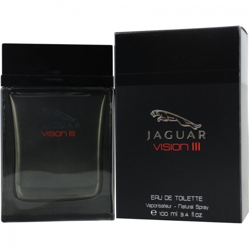 

Vision III