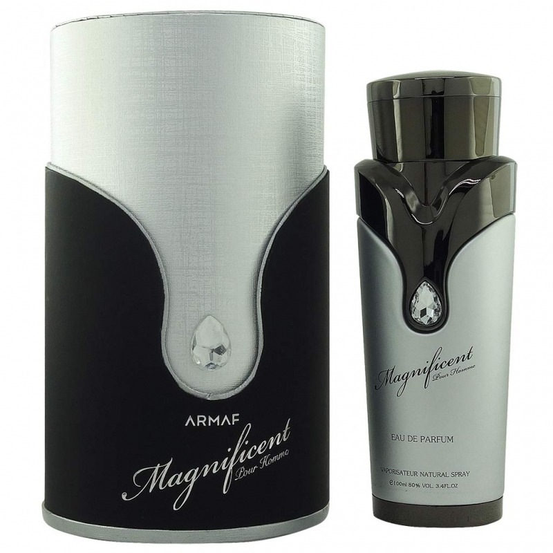 Magnificent Pour Homme от Aroma-butik