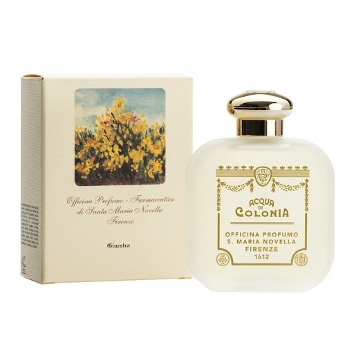 

Ginestra (Broom)