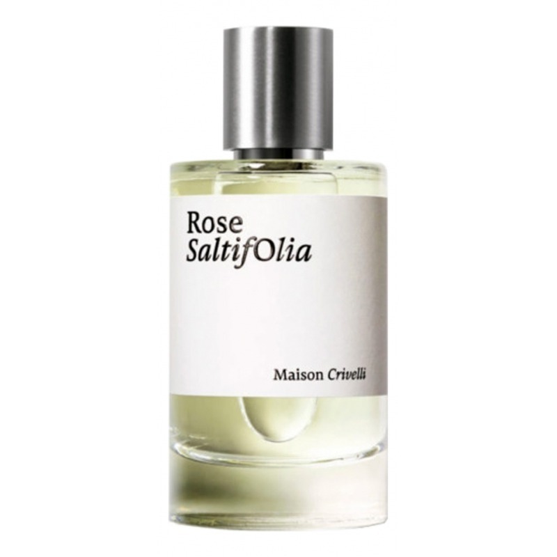 

Rose SaltifOlia