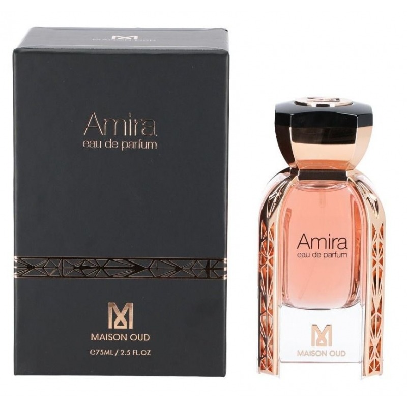

Amira