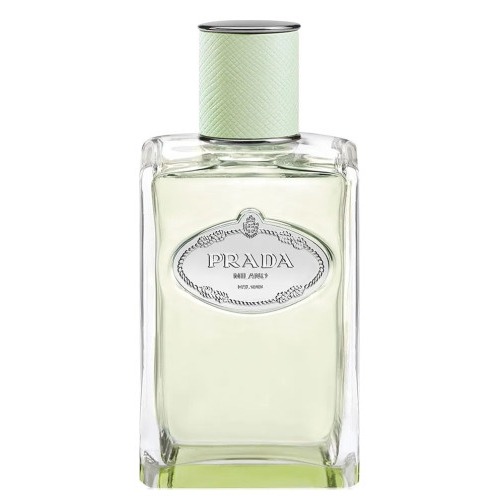 

Infusion d’Iris (2015)