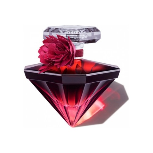 

La Nuit Tresor Intense