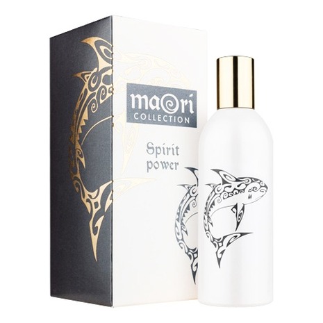 

Spirit Power