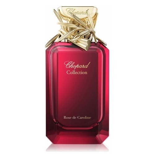 Rose de Caroline