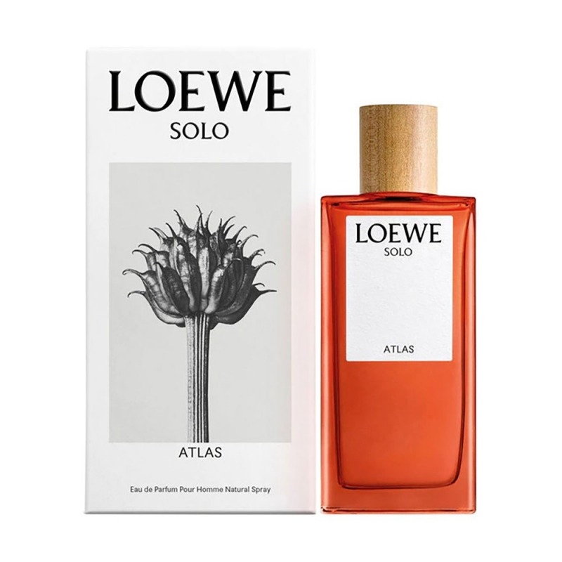 Loewe Solo Atlas