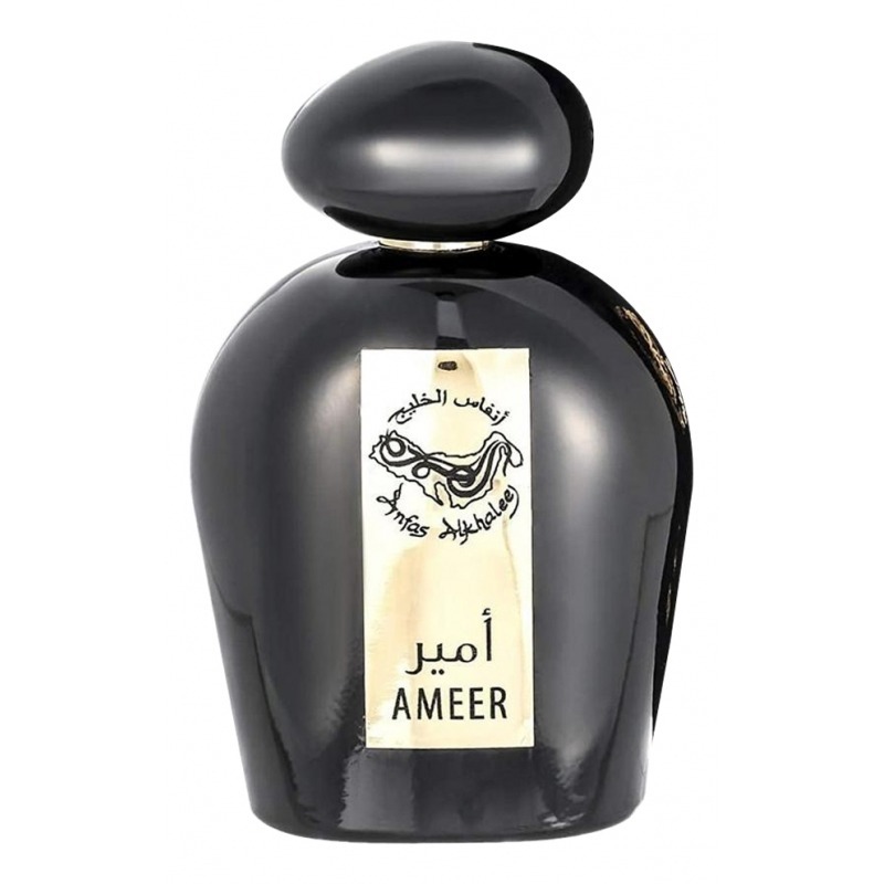 

Ameer