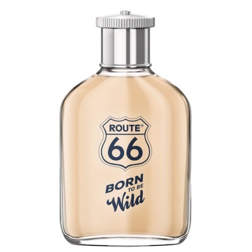 Route 66 Born To Be Wild