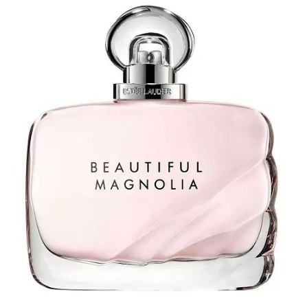 

Beautiful Magnolia