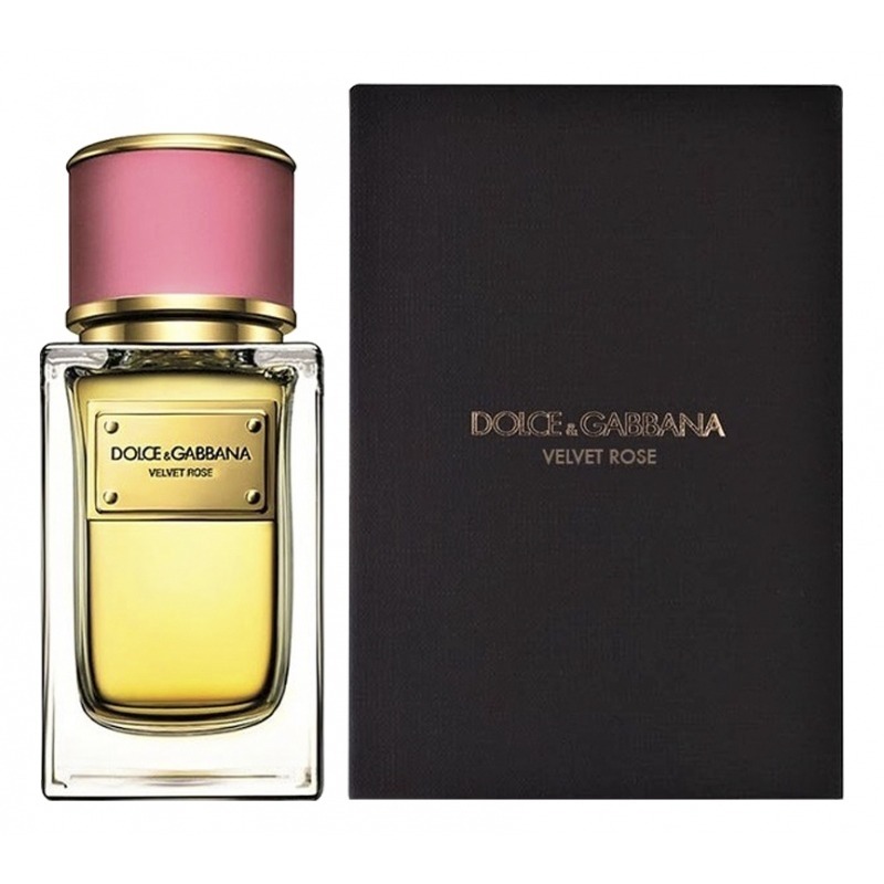 DOLCE & GABBANA Velvet Rose