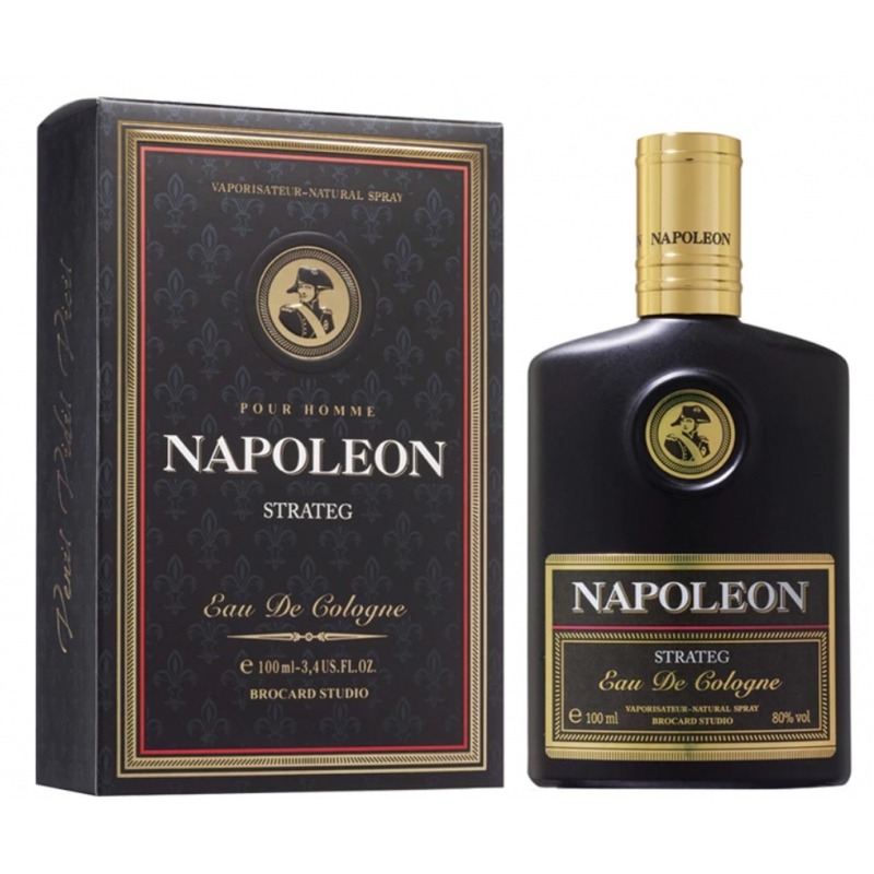 

Napoleon Strateg