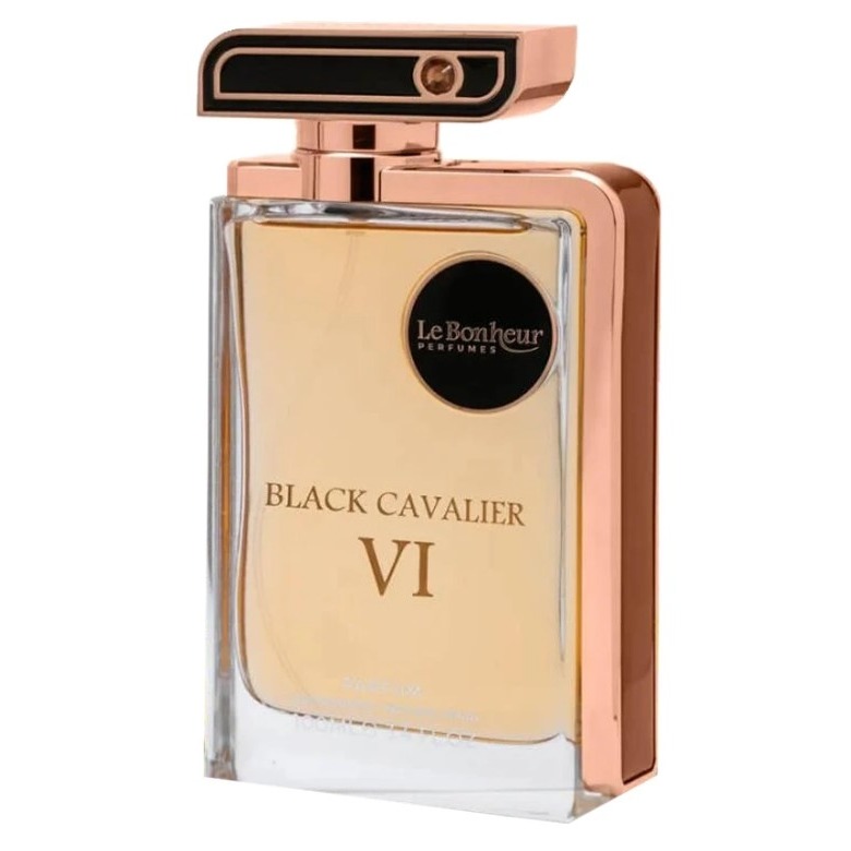 Black Cavalier VI