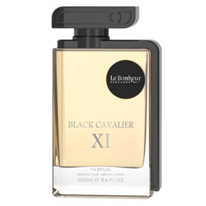 Black Cavalier XI