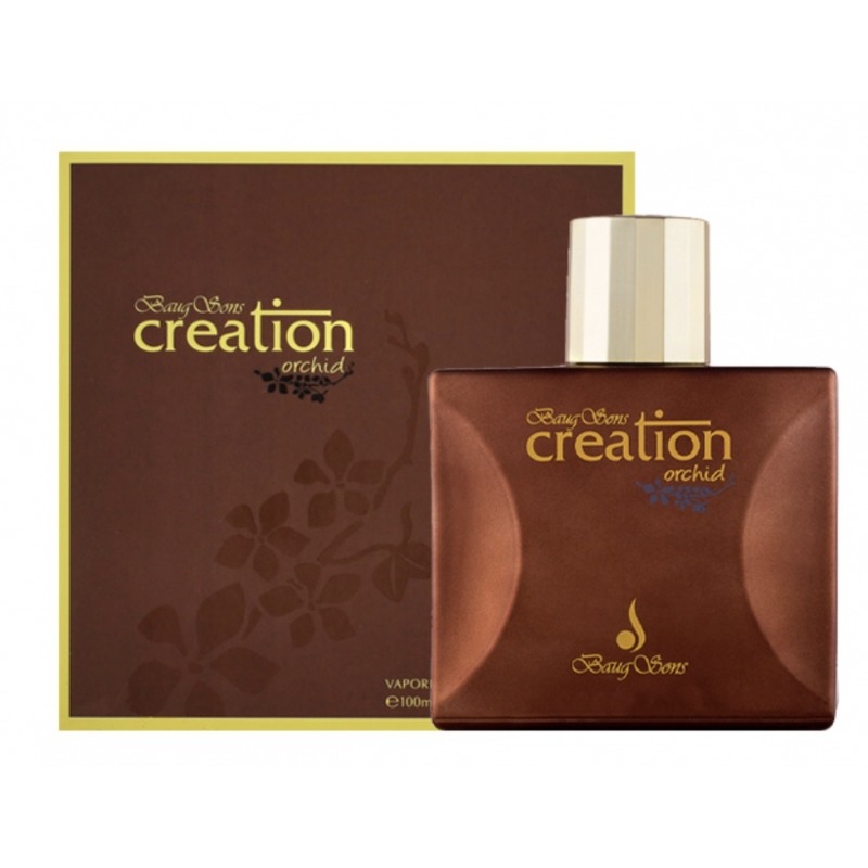 Creation Orchid